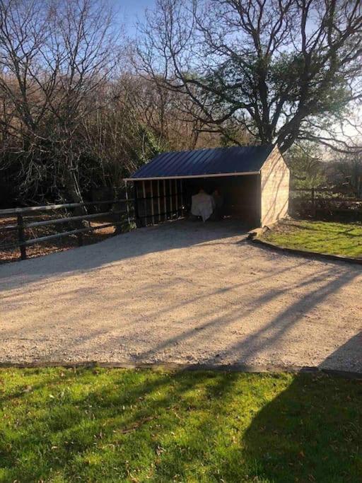 Cottage Cocooning Romantique Avec Jaccuzzi Prive Ancinnes Exterior foto